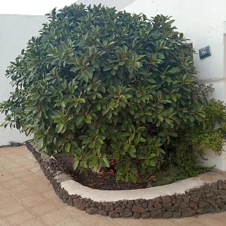 דירה Aguas Verdes